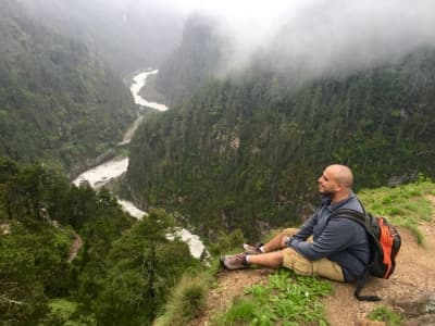 Tamer Elramly