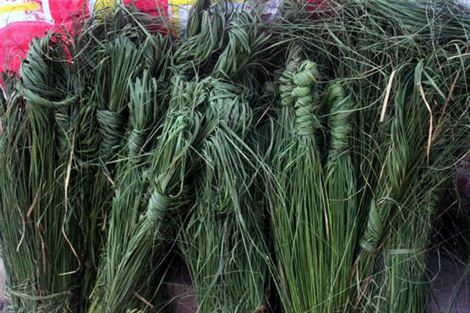 Image of Kush stacked to be sold for Kushe Aunsi