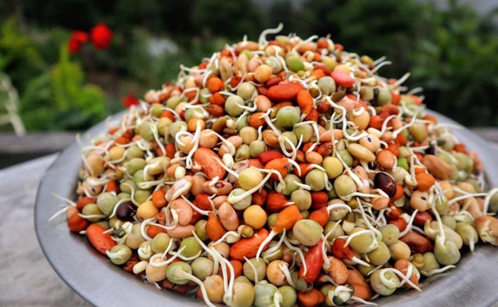 Introduction to Kwati - 9 types of sprouted beans